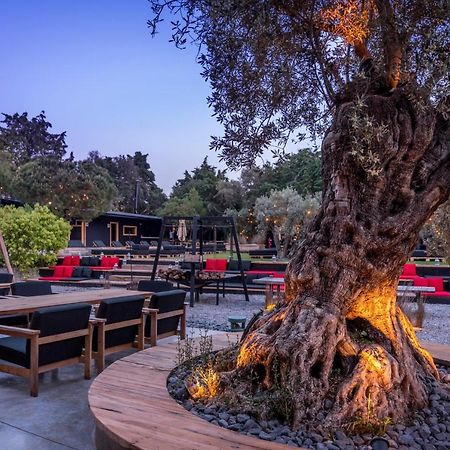 Warehouse By The Stay (Adults Only) 阿拉恰特 外观 照片