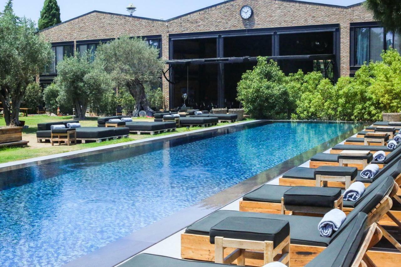 Warehouse By The Stay (Adults Only) 阿拉恰特 外观 照片